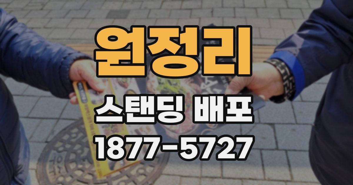 원정리 스탠딩 배포