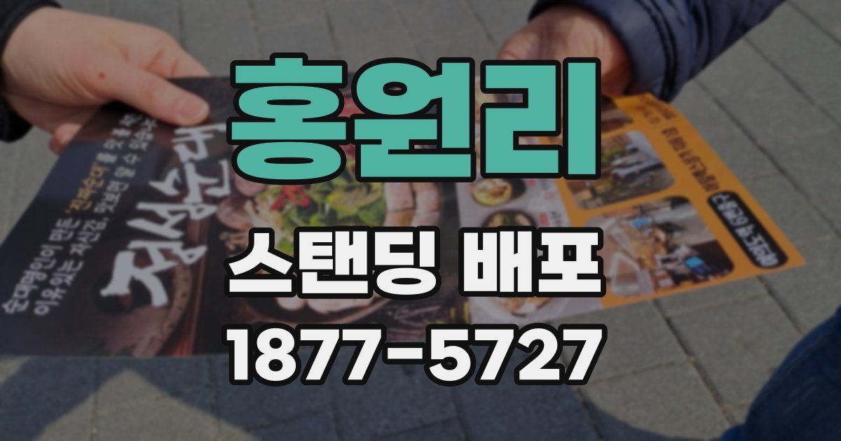 홍원리 스탠딩 배포