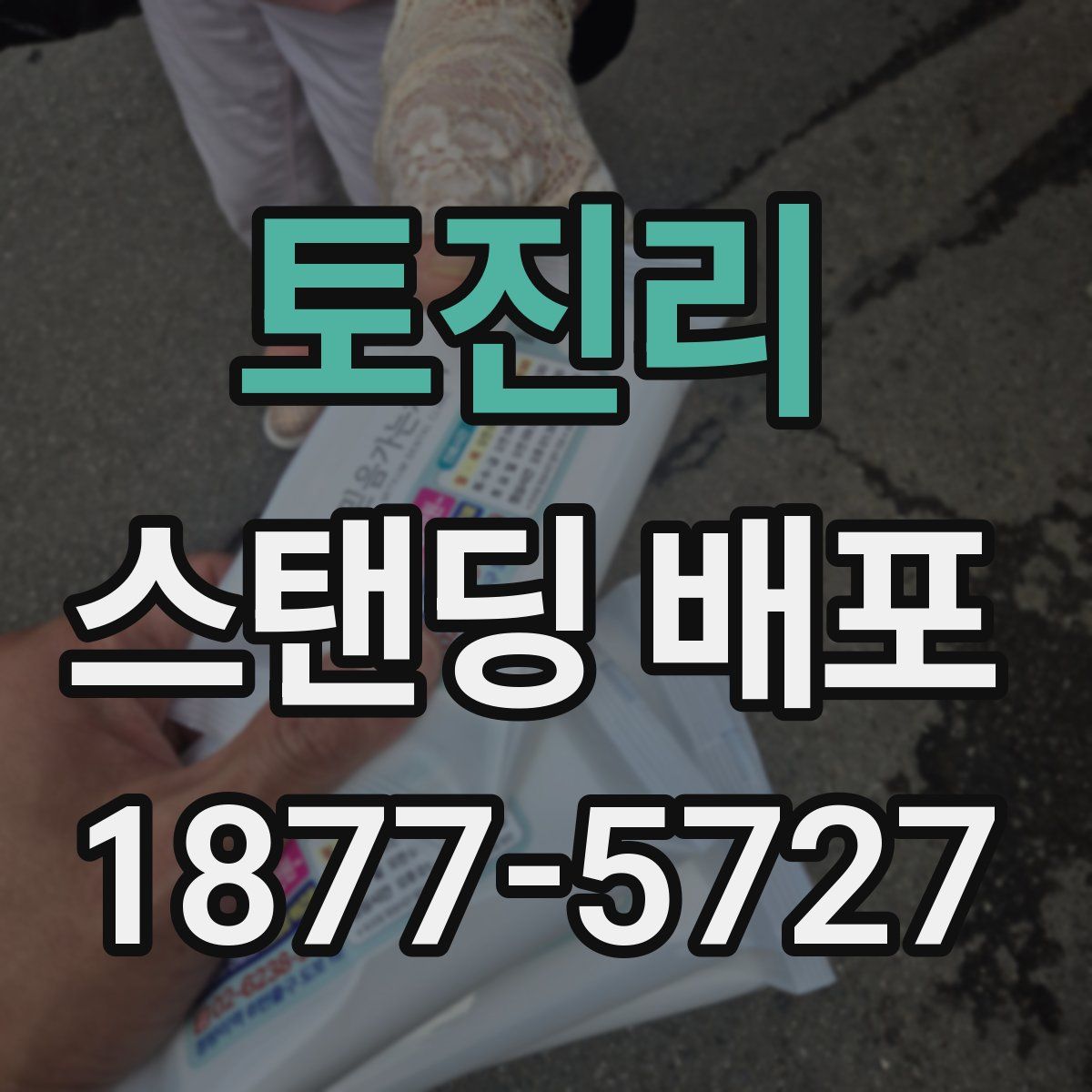 토진리 스탠딩 배포