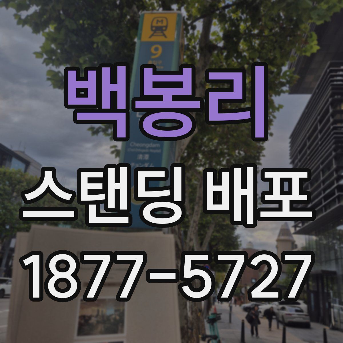 백봉리 스탠딩 배포