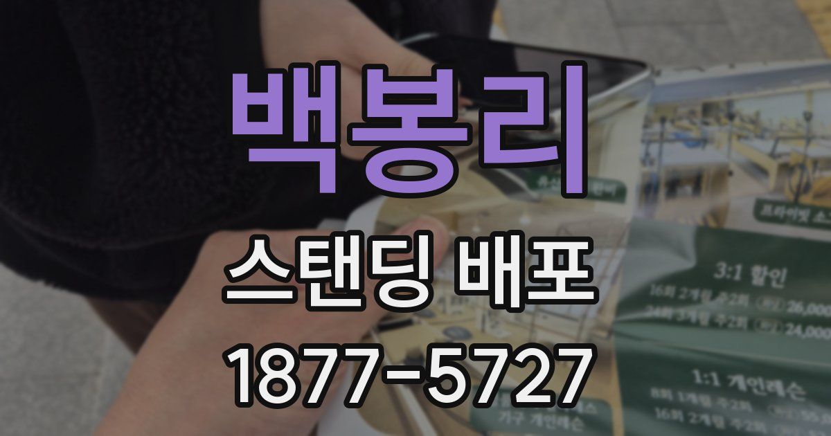 백봉리 스탠딩 배포