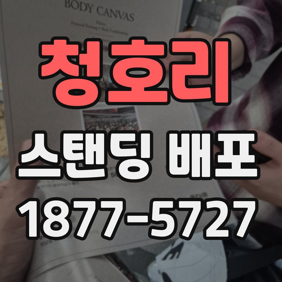 청호리 스탠딩 배포