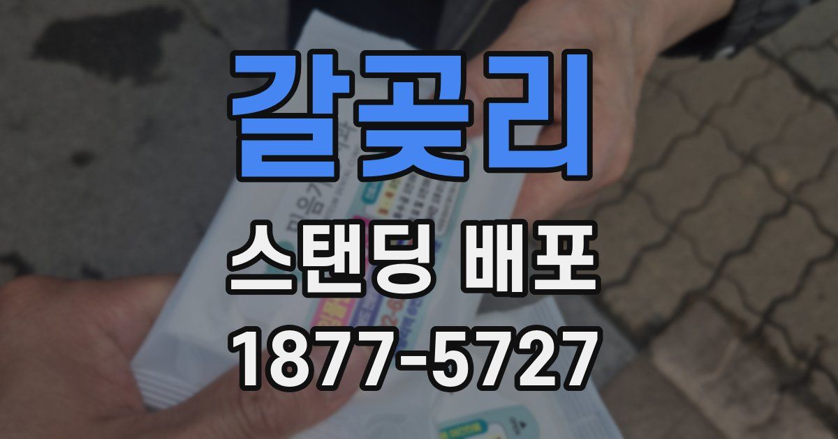 갈곶리 스탠딩 배포