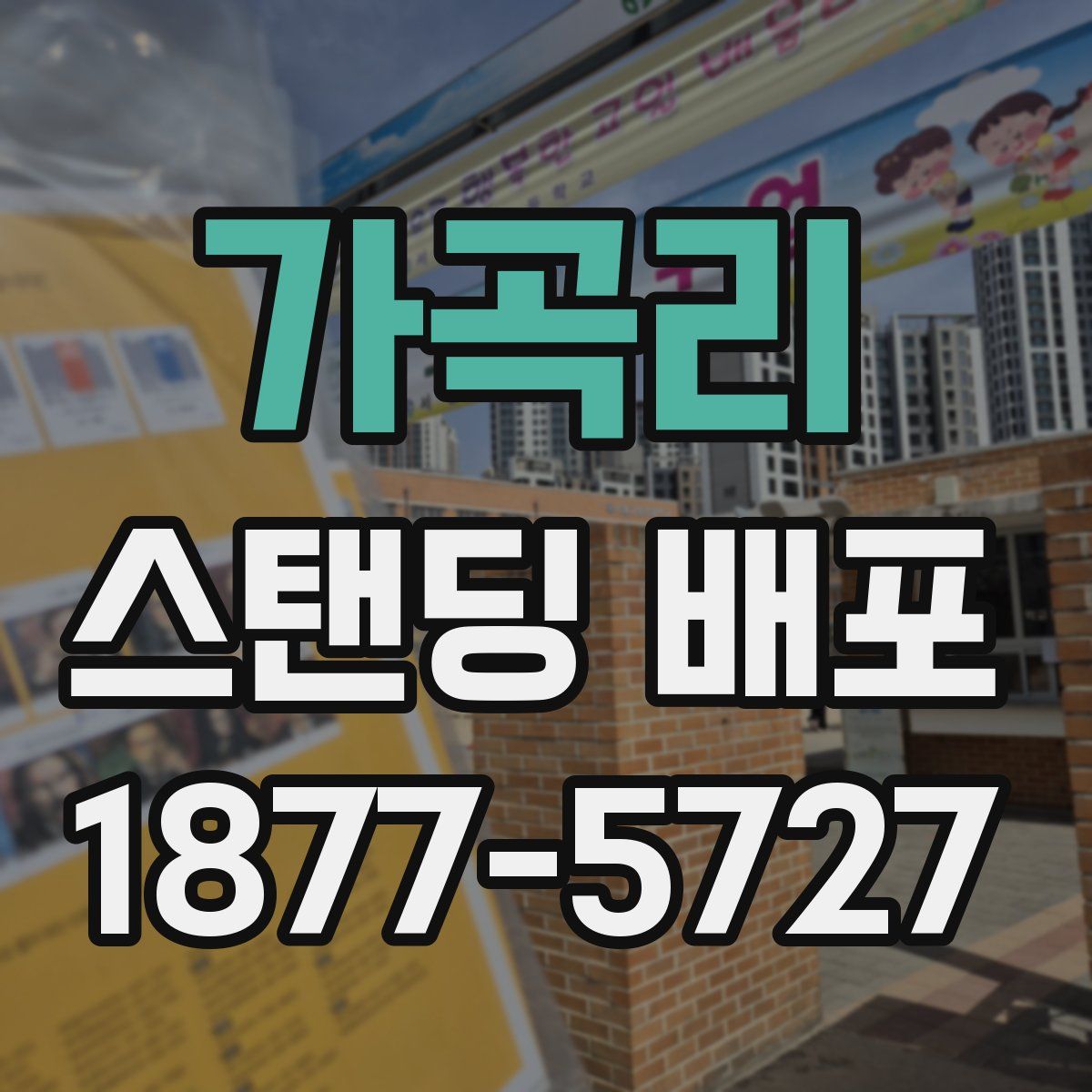가곡리 스탠딩 배포