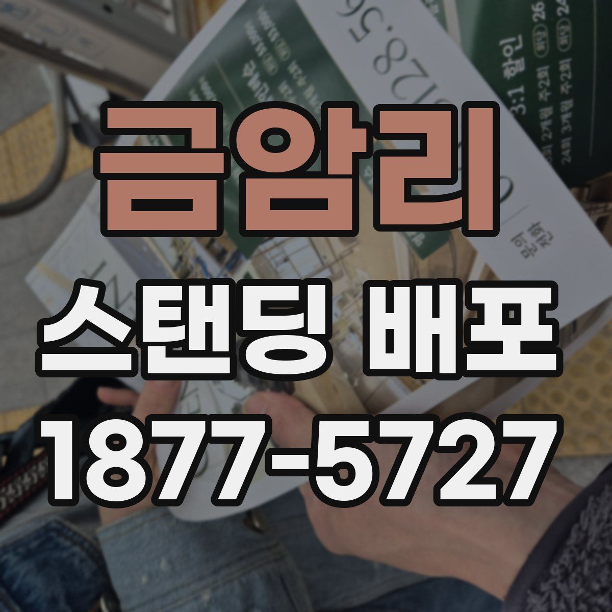 금암리 스탠딩 배포