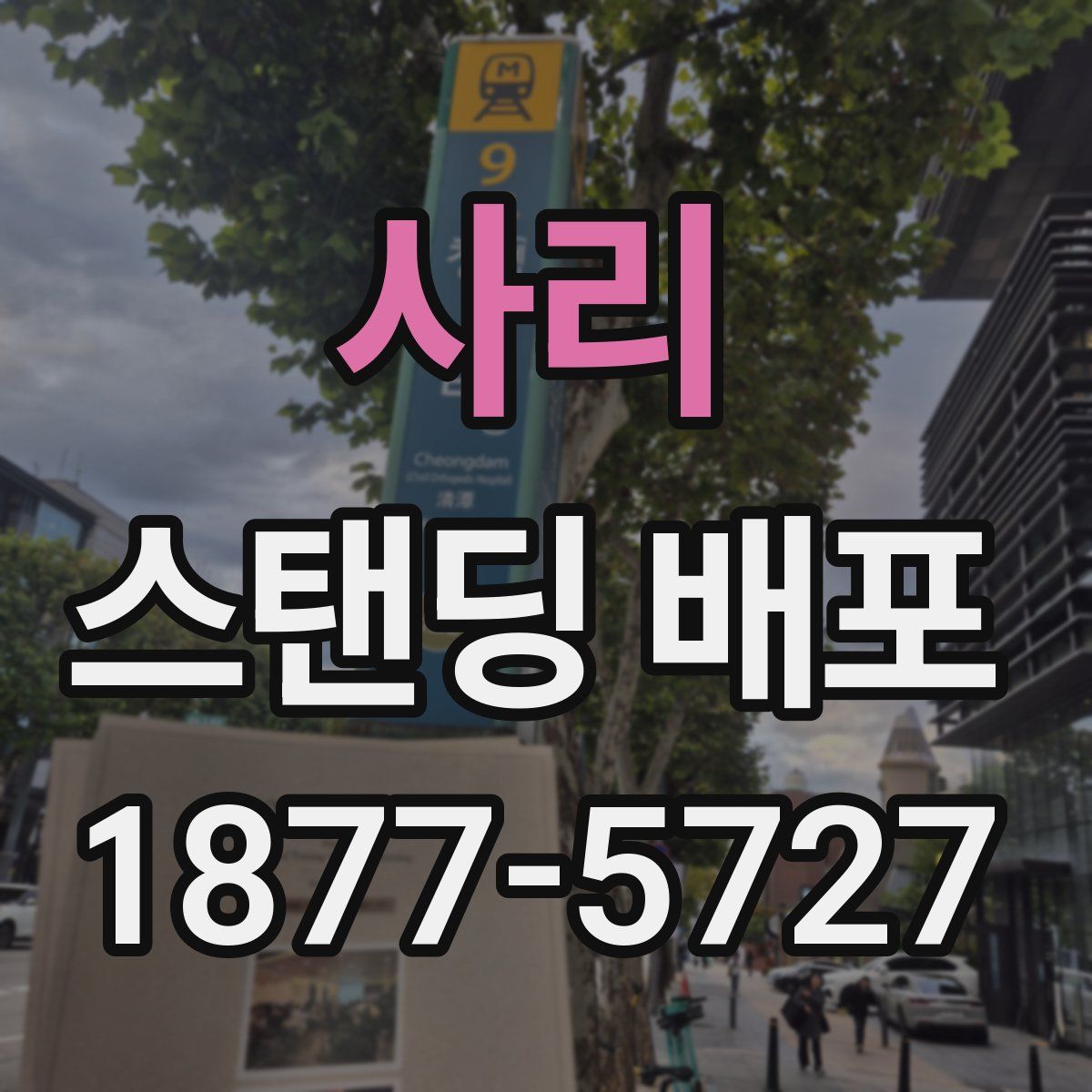 사리 스탠딩 배포