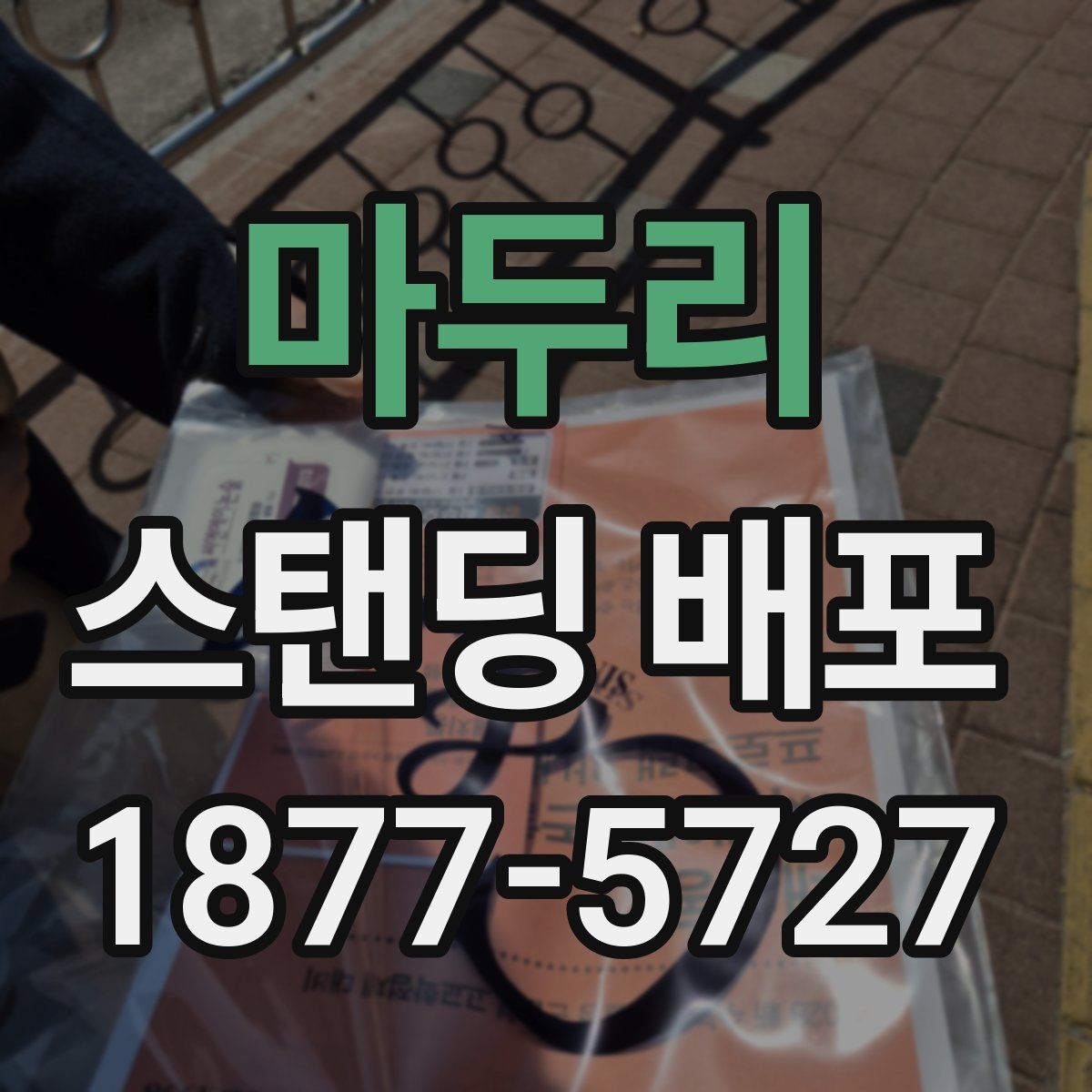 마두리 스탠딩 배포