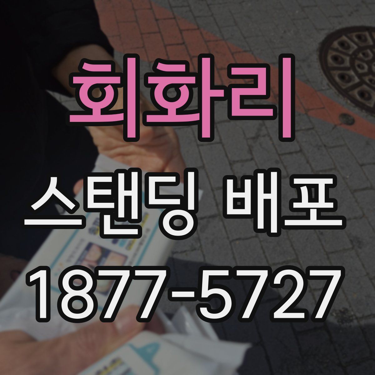회화리 스탠딩 배포