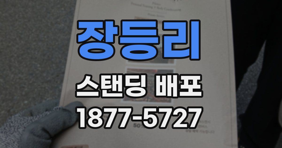 장등리 스탠딩 배포