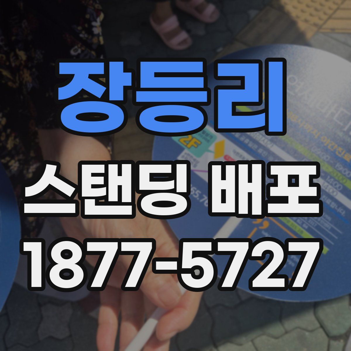 장등리 스탠딩 배포