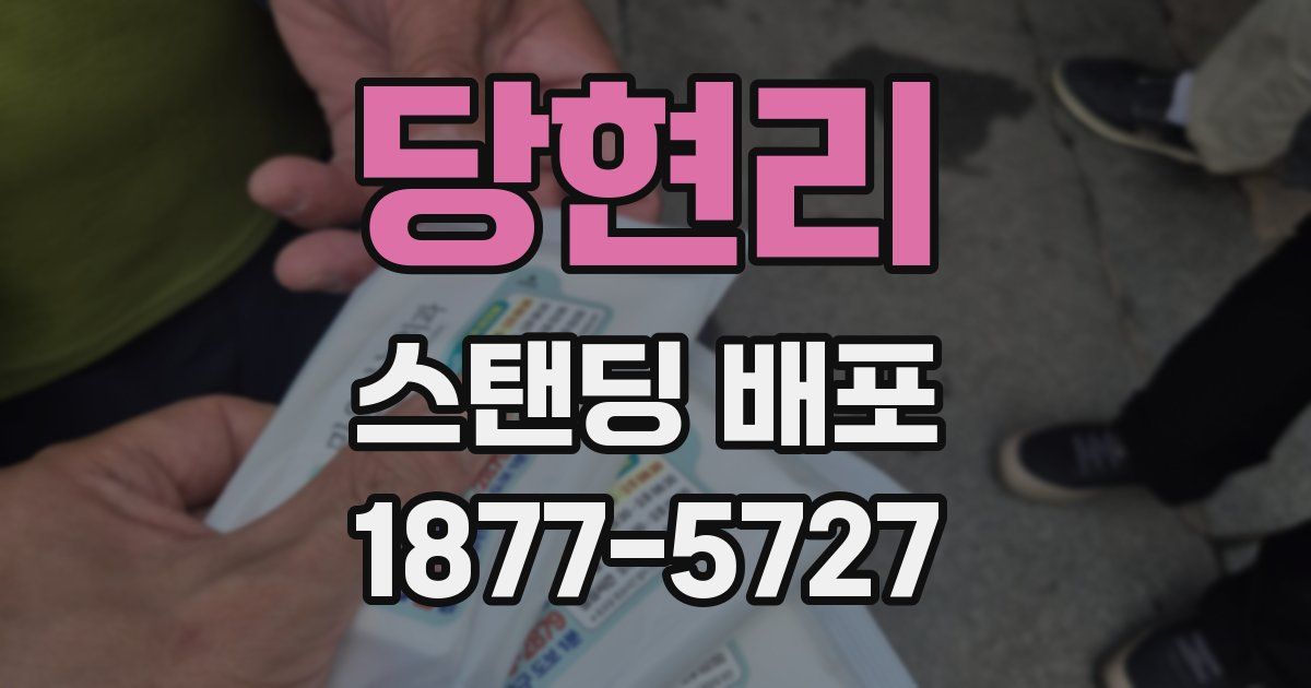 당현리 스탠딩 배포