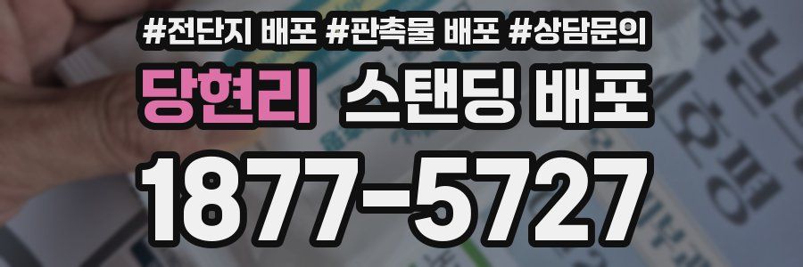 당현리 스탠딩 배포