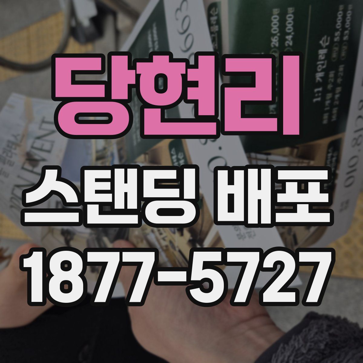 당현리 스탠딩 배포