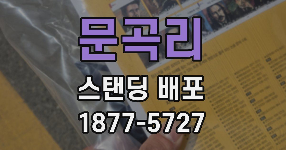 문곡리 스탠딩 배포