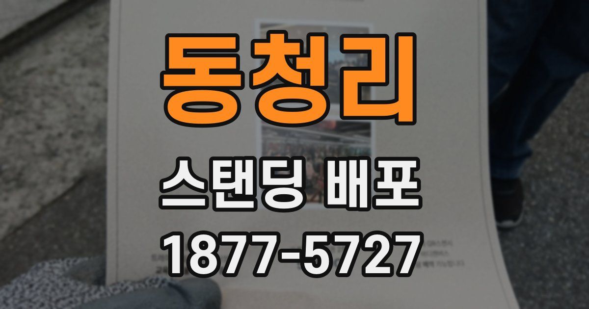 동청리 스탠딩 배포
