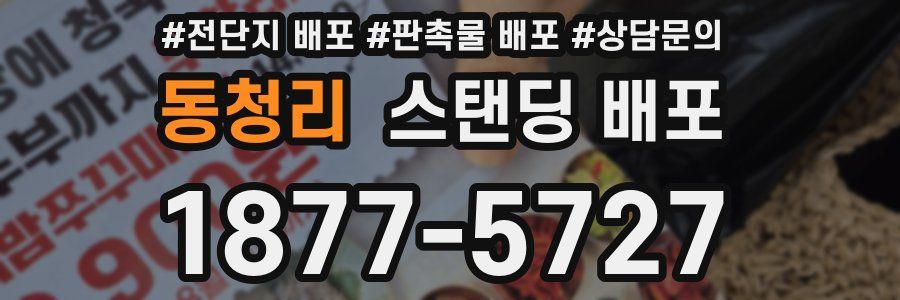 동청리 스탠딩 배포
