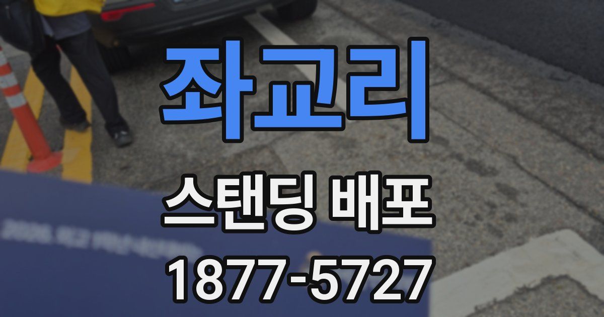 좌교리 스탠딩 배포