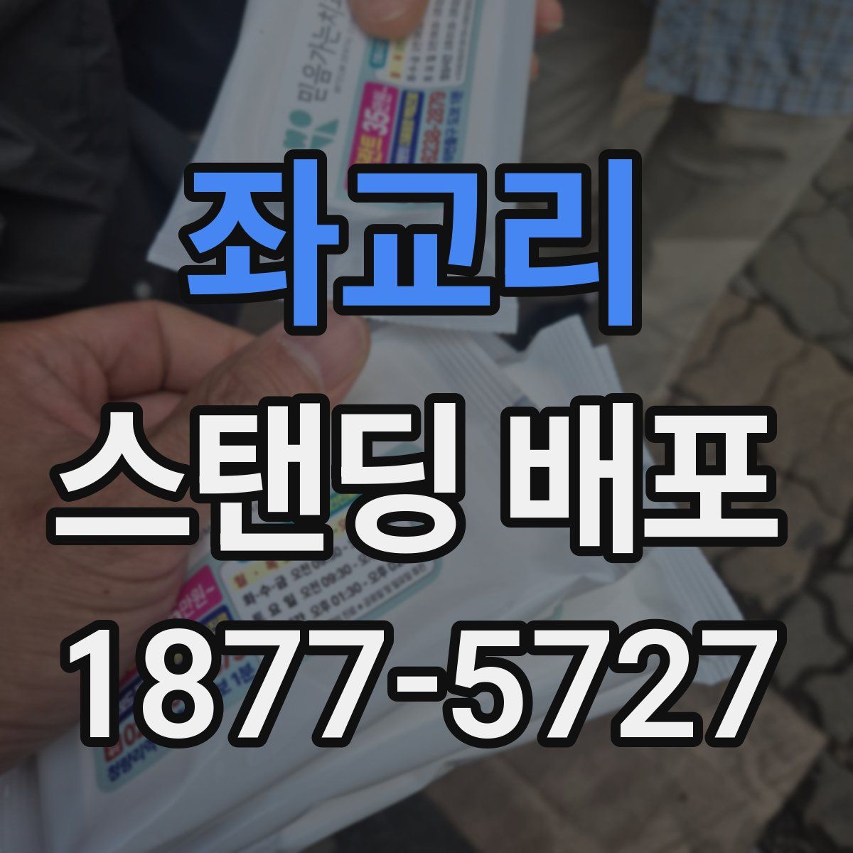 좌교리 스탠딩 배포