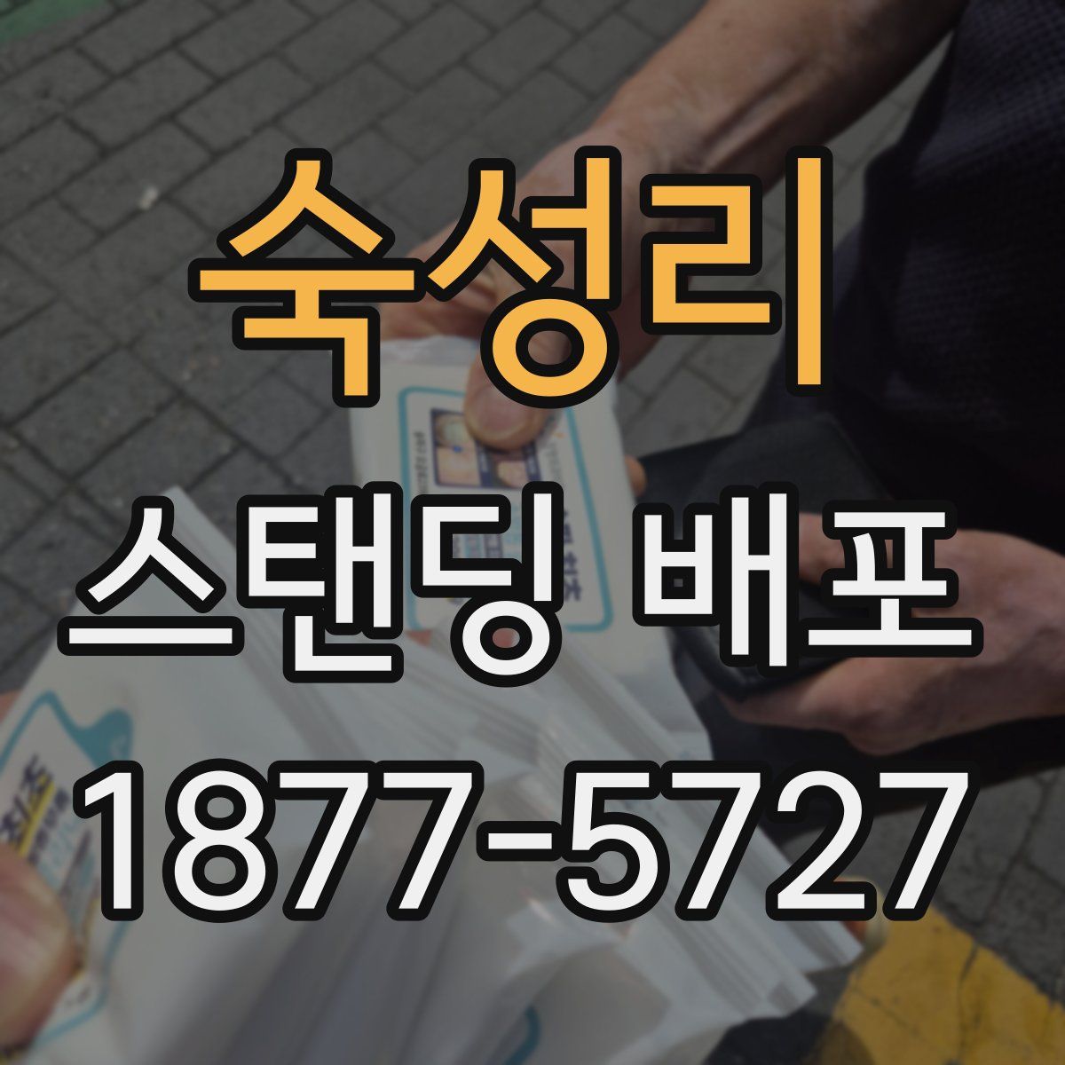 숙성리 스탠딩 배포