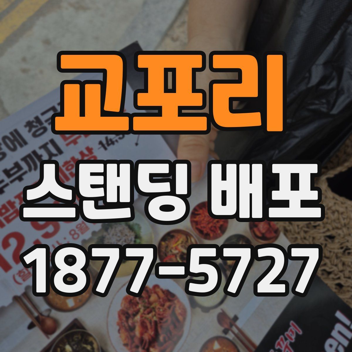 교포리 스탠딩 배포