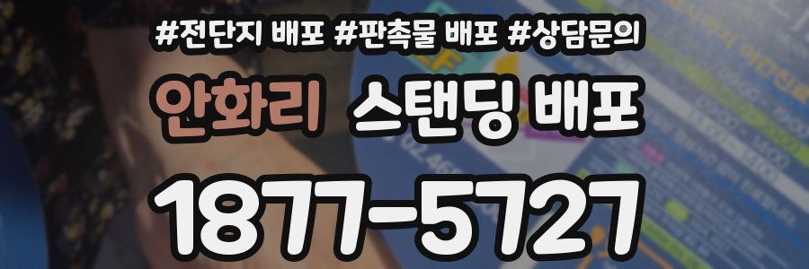 안화리 스탠딩 배포