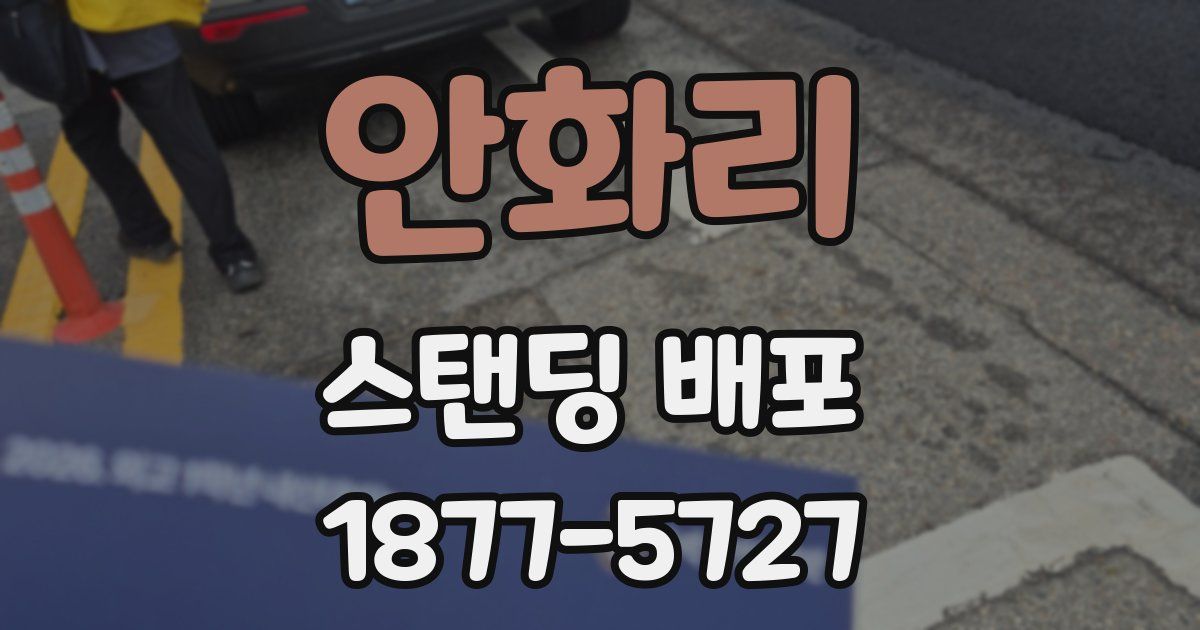 안화리 스탠딩 배포