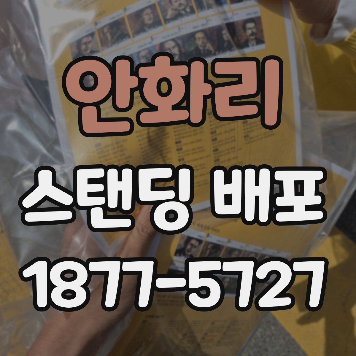 안화리 스탠딩 배포