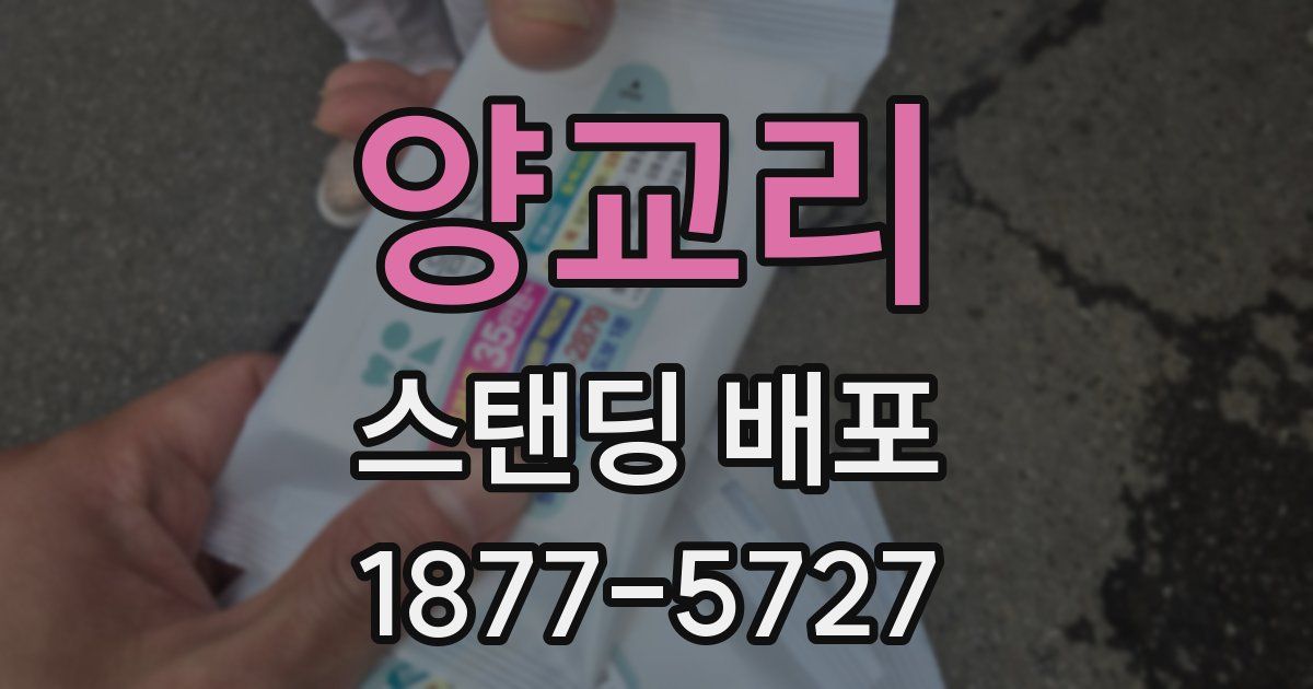 양교리 스탠딩 배포
