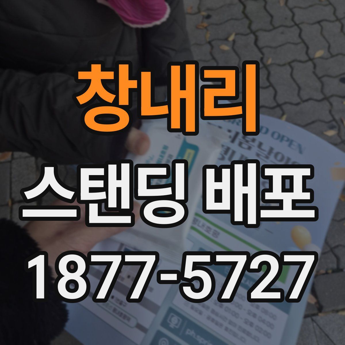 창내리 스탠딩 배포