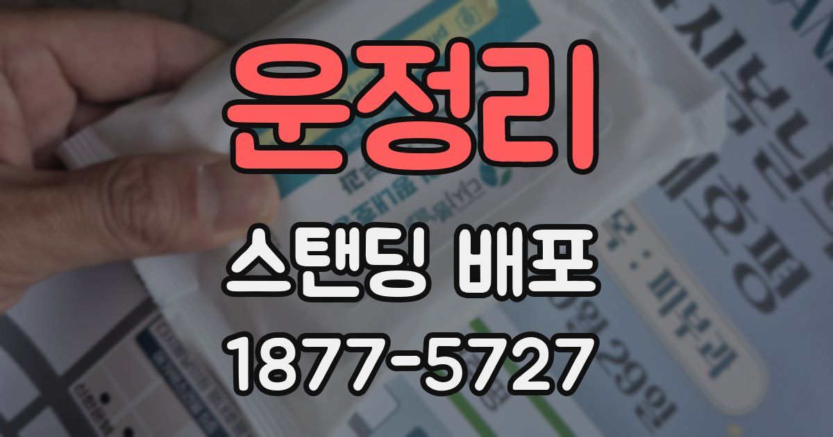 운정리 스탠딩 배포