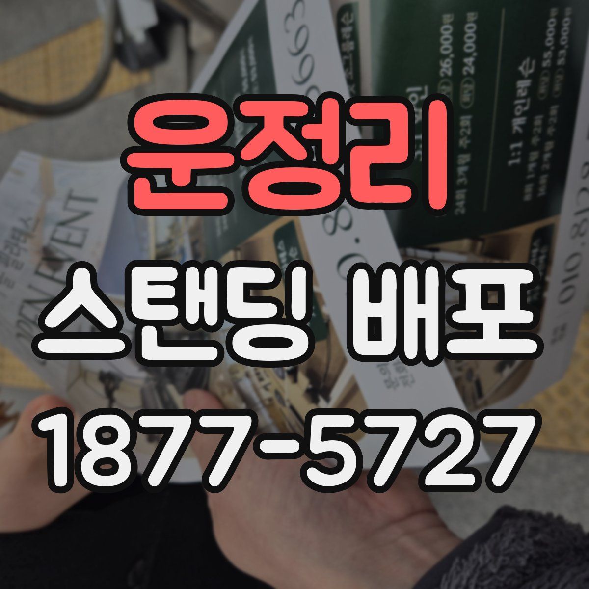 운정리 스탠딩 배포