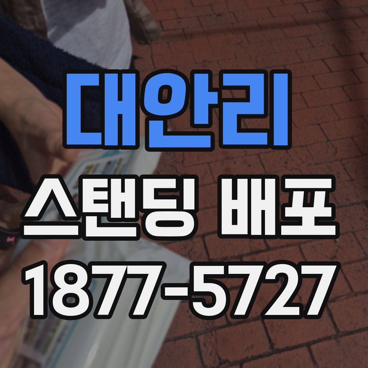 대안리 스탠딩 배포