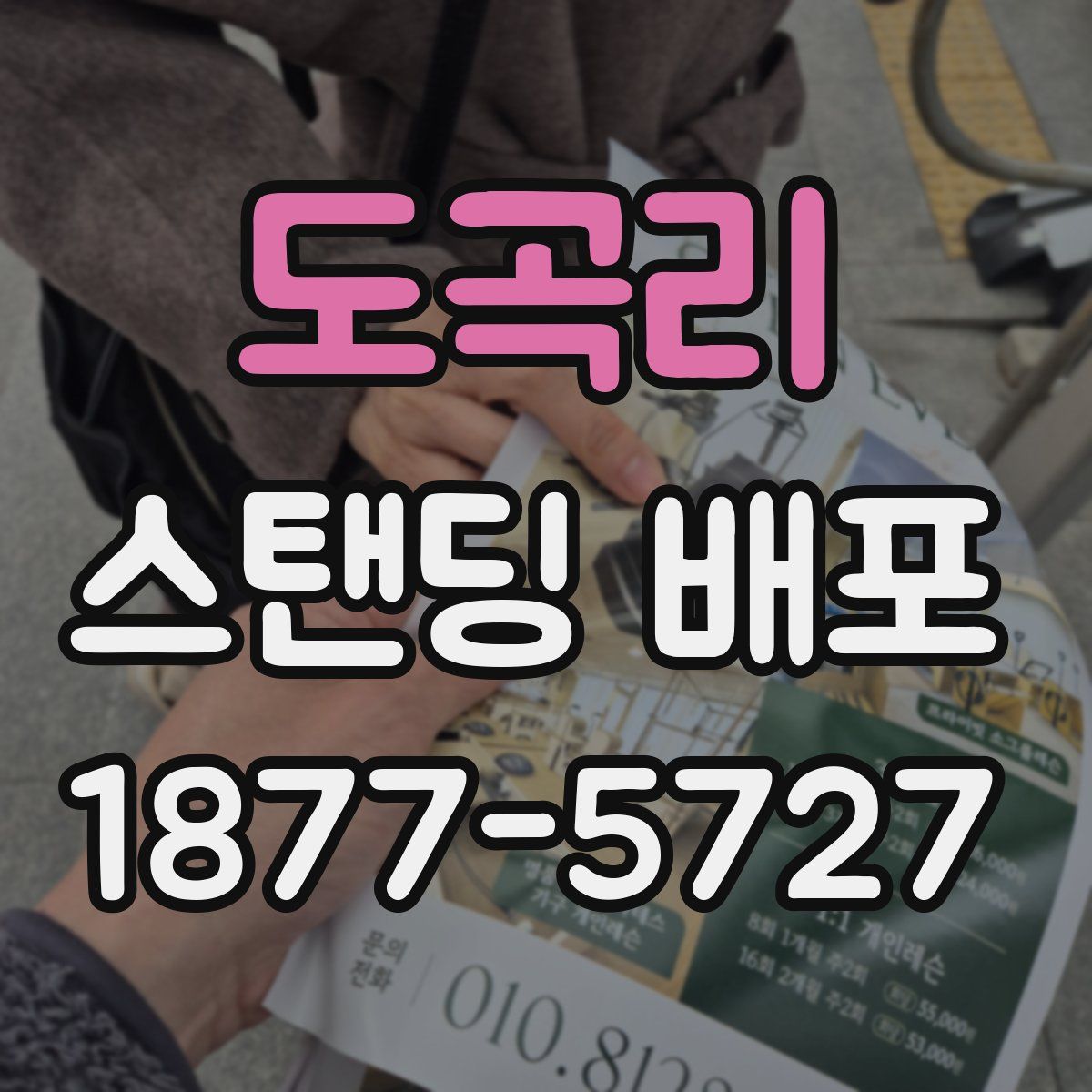 도곡리 스탠딩 배포