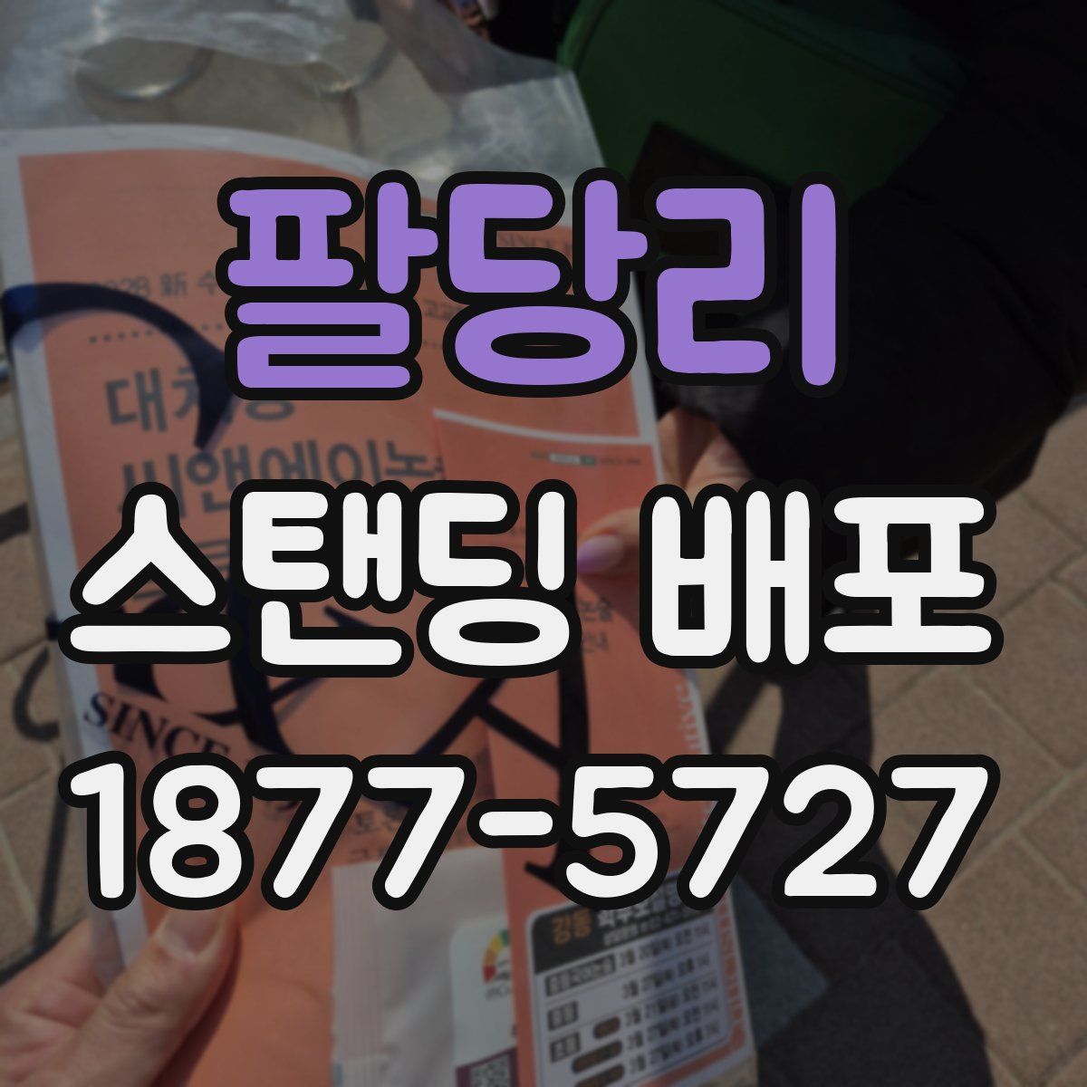 팔당리 스탠딩 배포