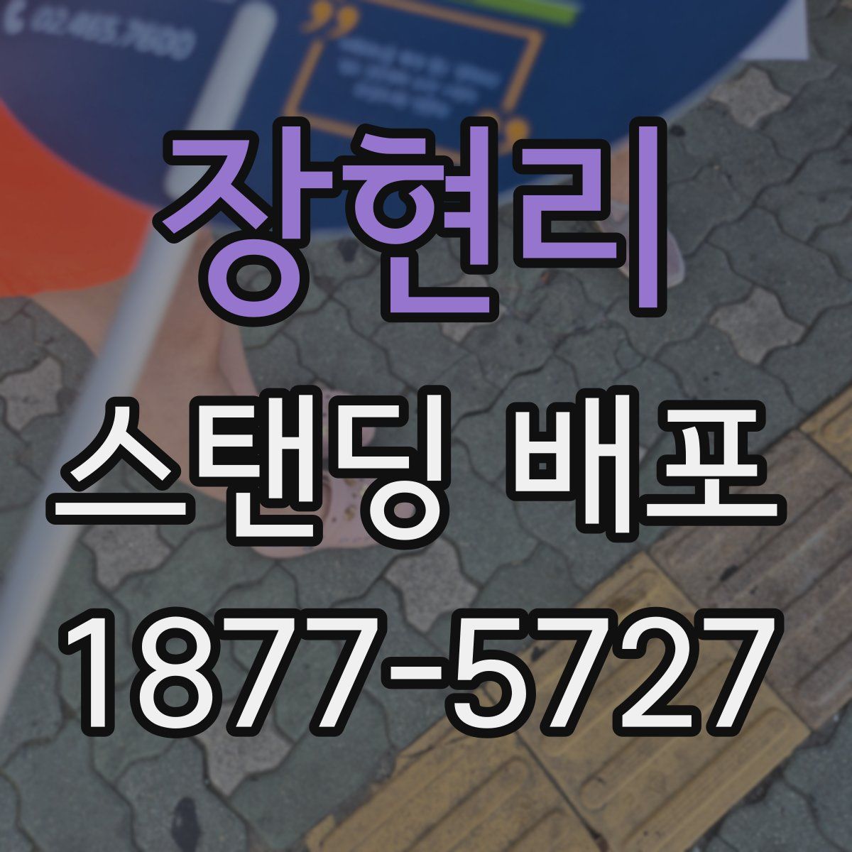 장현리 스탠딩 배포