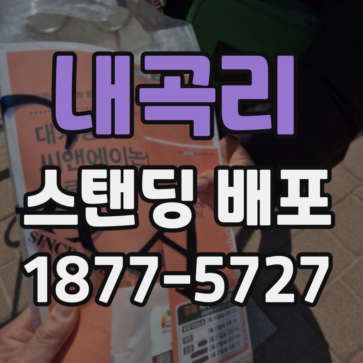 내곡리 스탠딩 배포