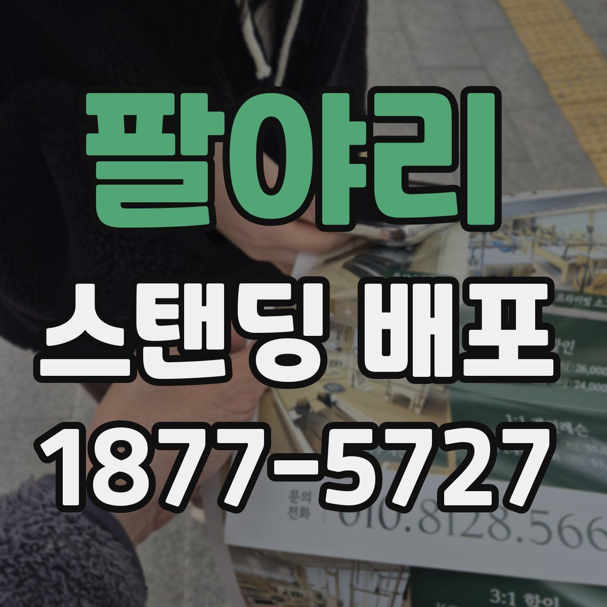 팔야리 스탠딩 배포