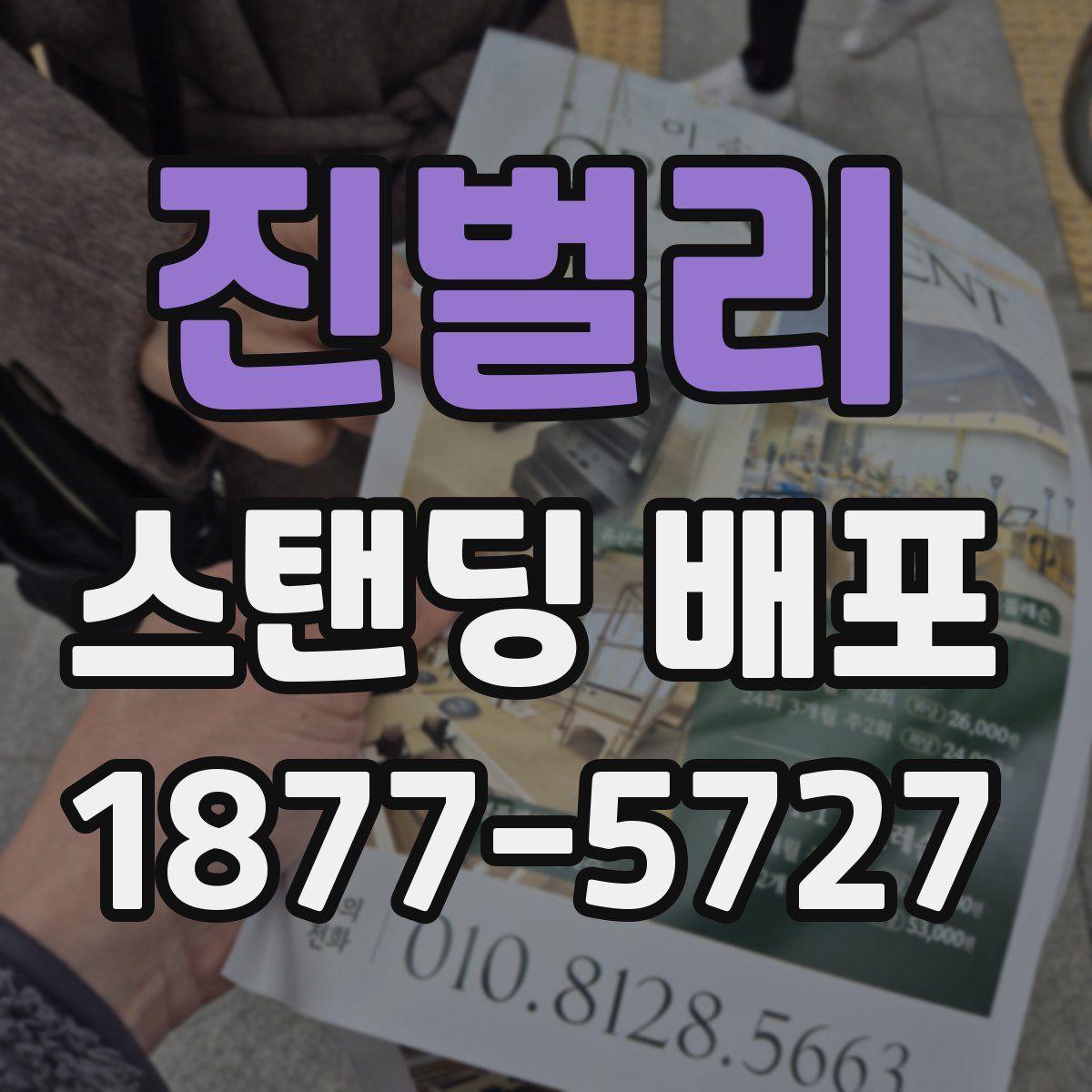 진벌리 스탠딩 배포