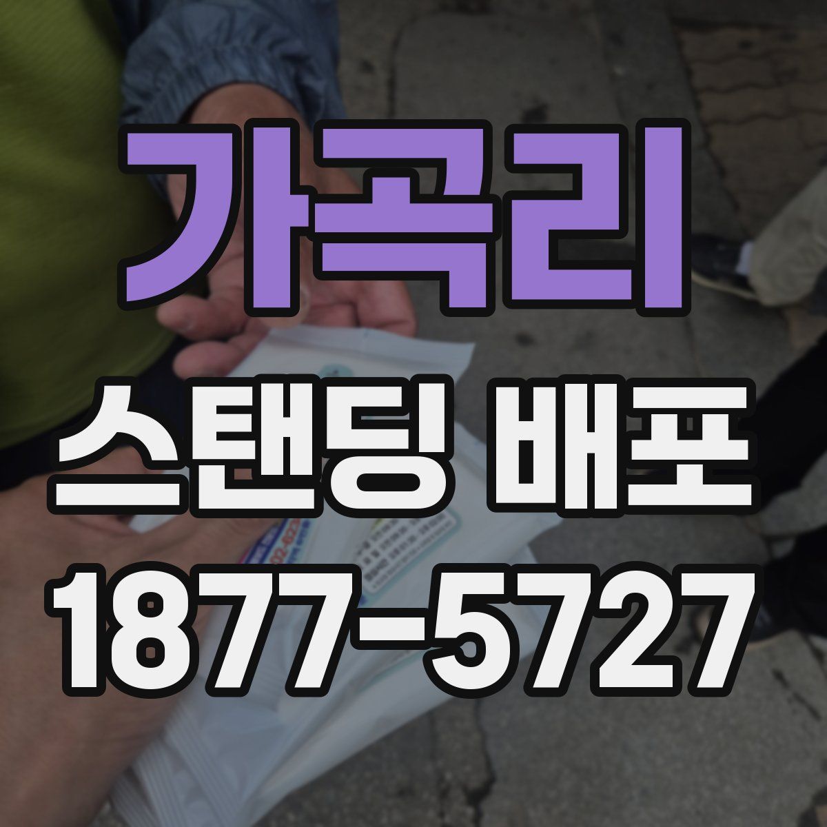 가곡리 스탠딩 배포