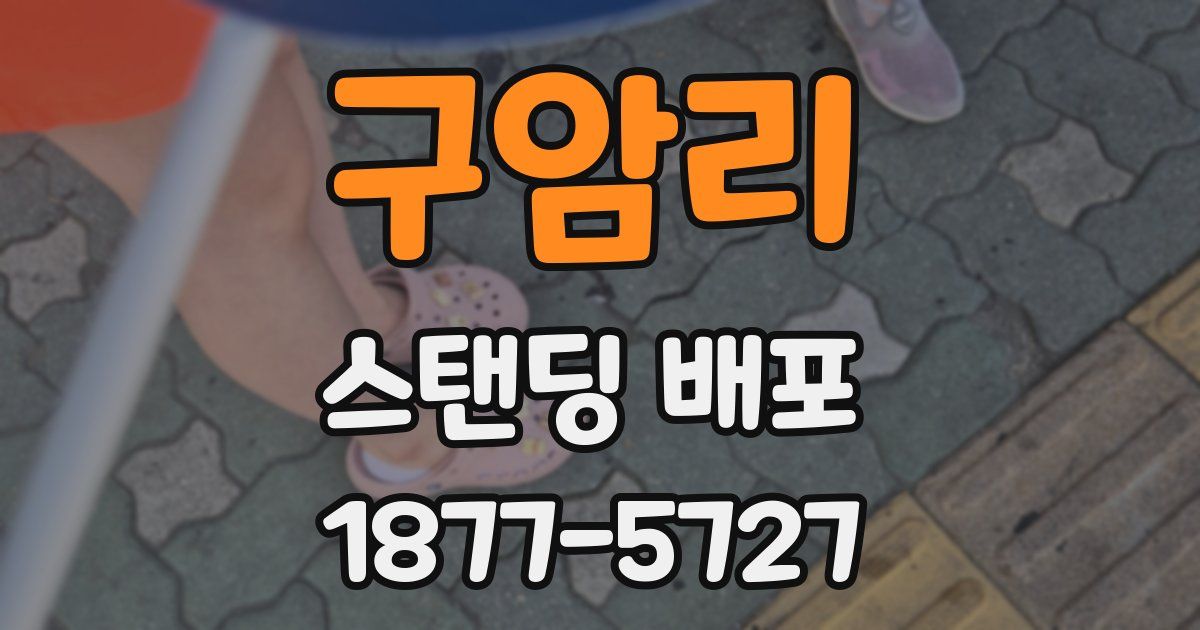구암리 스탠딩 배포