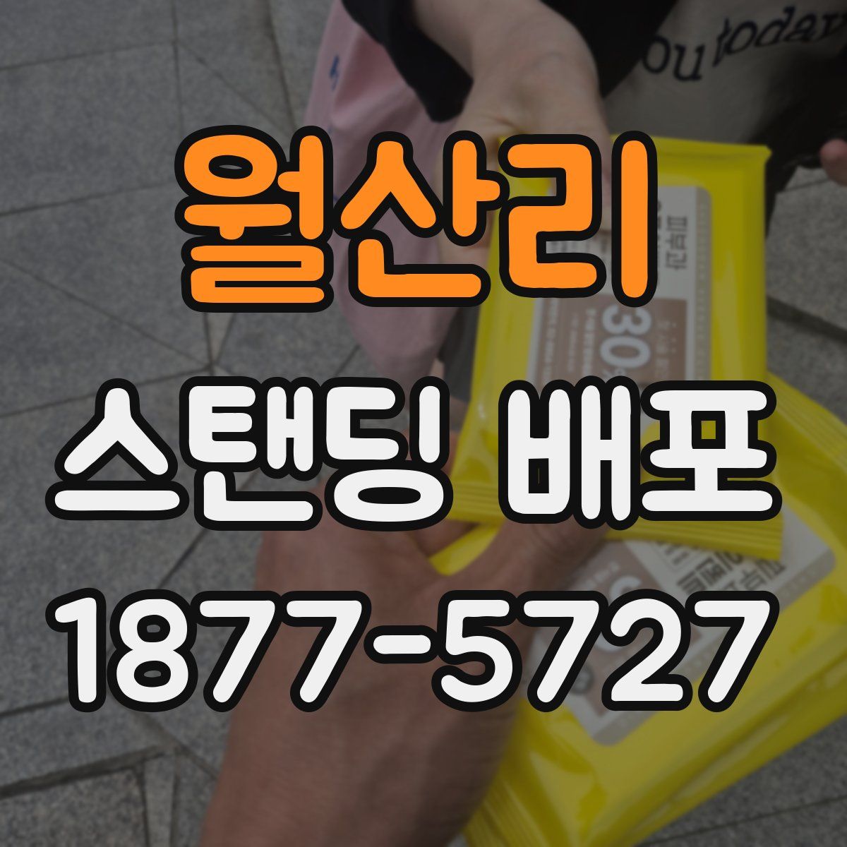 월산리 스탠딩 배포