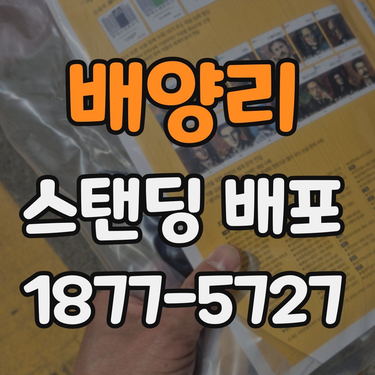 배양리 스탠딩 배포