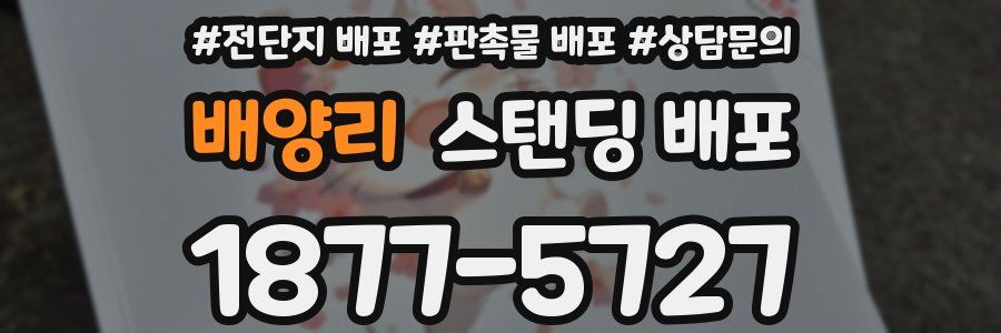 배양리 스탠딩 배포