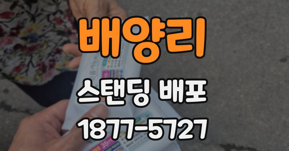 배양리 스탠딩 배포