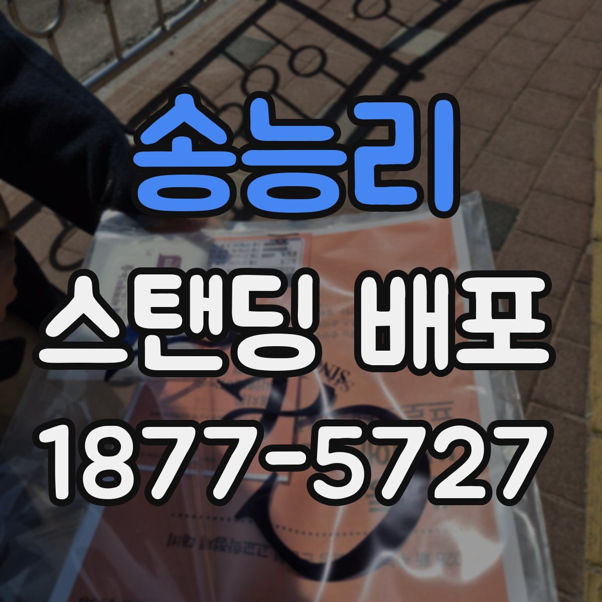 송능리 스탠딩 배포
