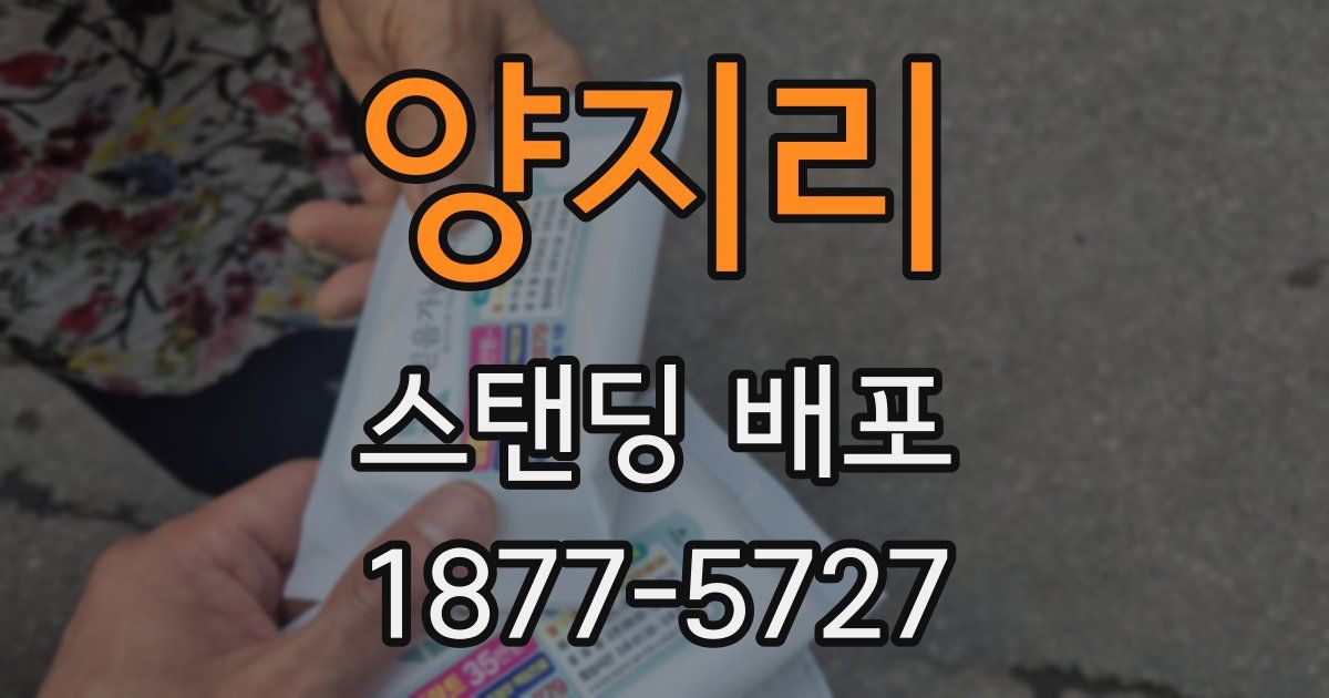 양지리 스탠딩 배포