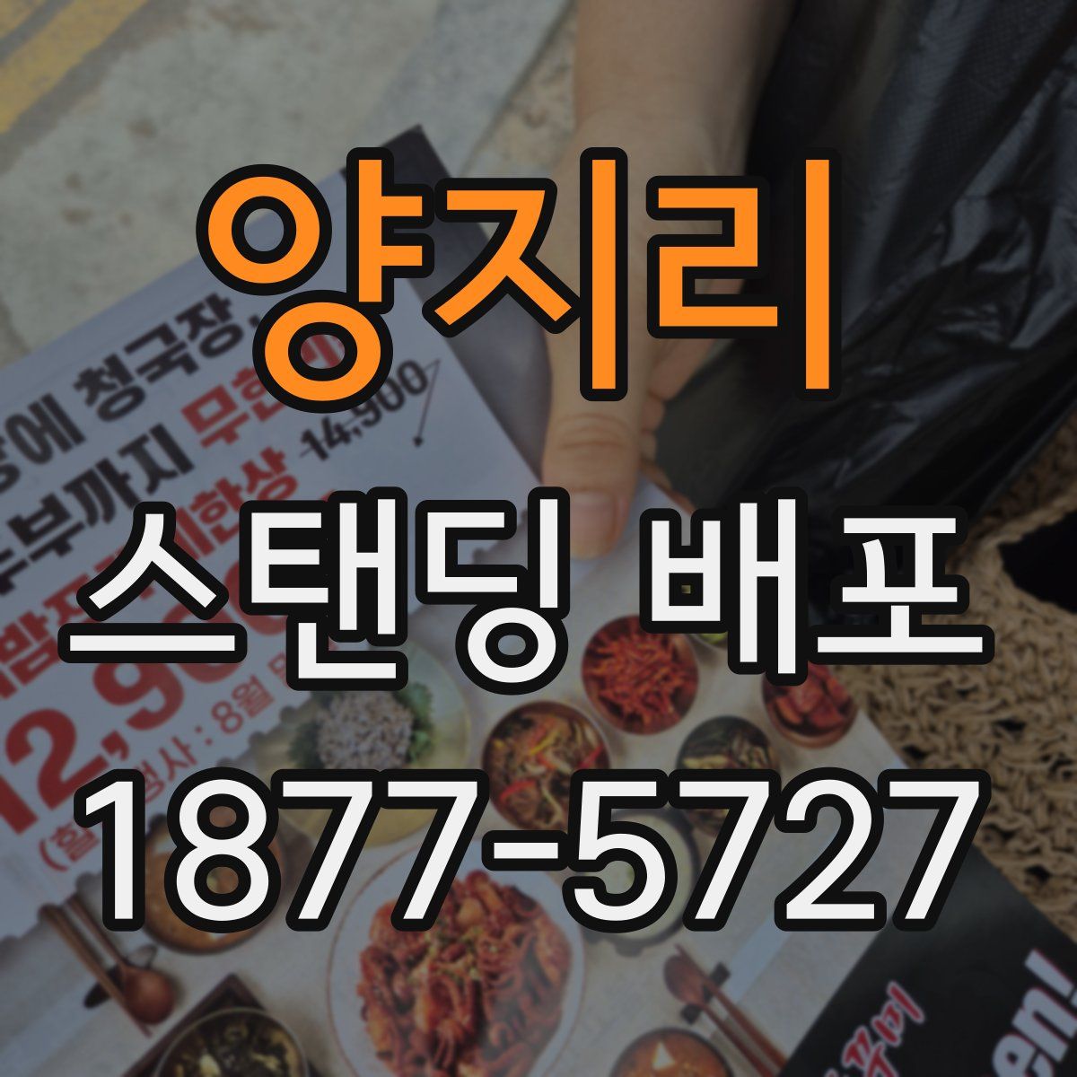 양지리 스탠딩 배포