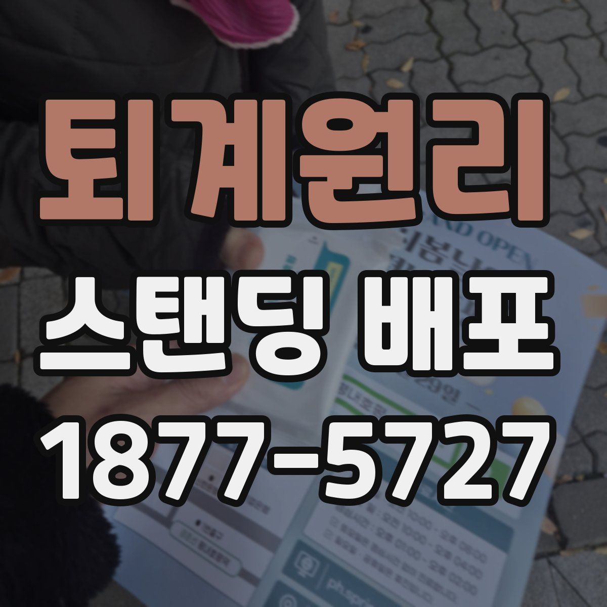 퇴계원리 스탠딩 배포