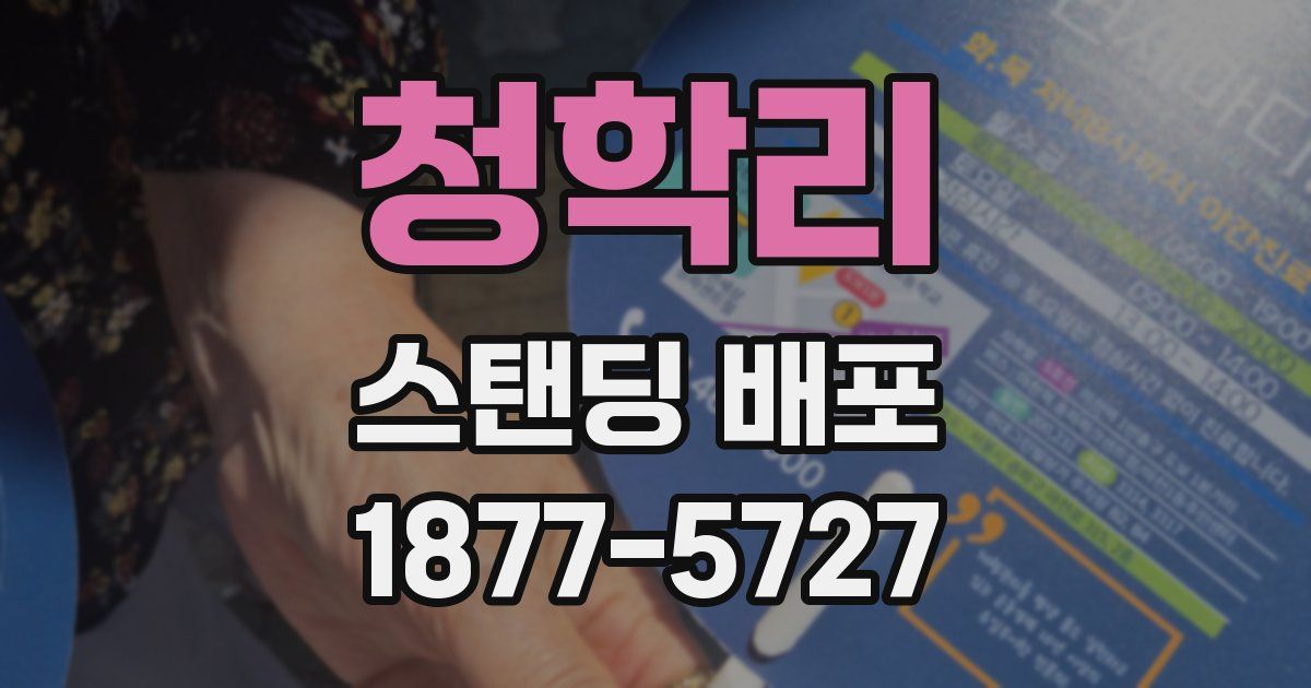 청학리 스탠딩 배포