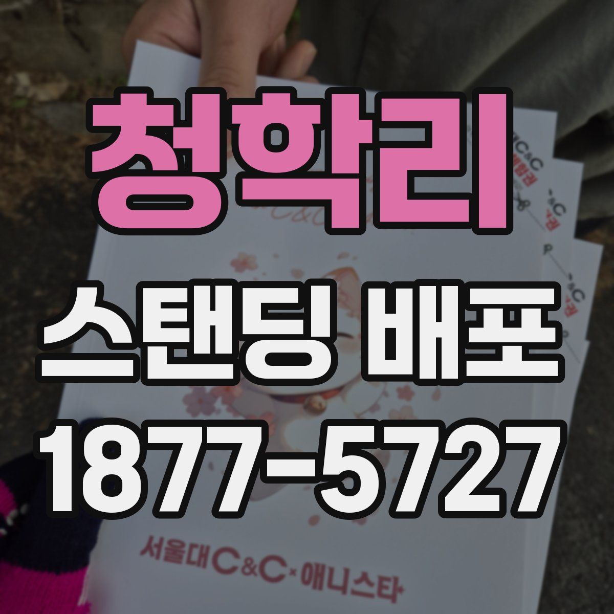 청학리 스탠딩 배포
